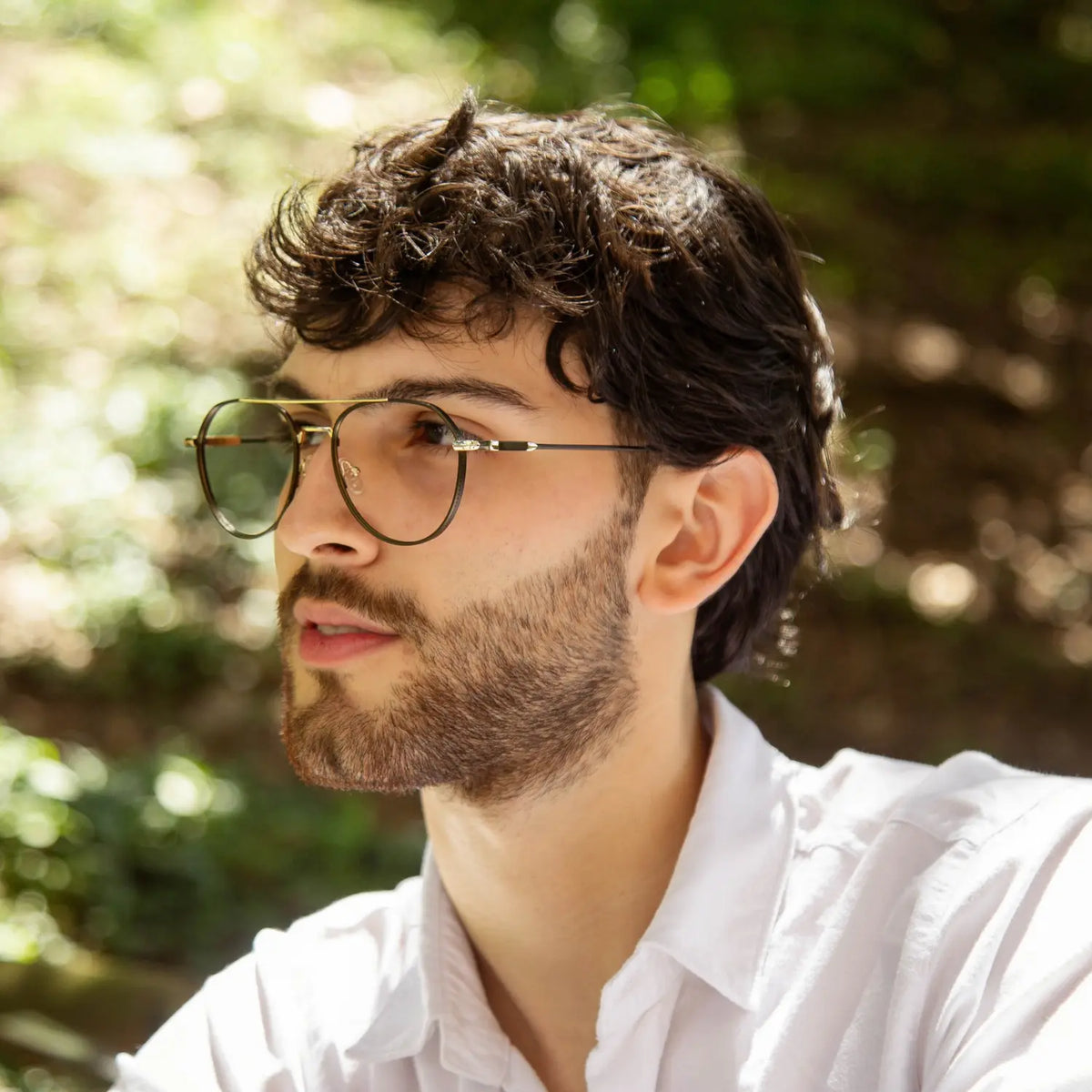 Montura de Gafas Hombre Dorian